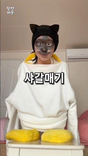 샤갈매기 분양해요 신종이에요