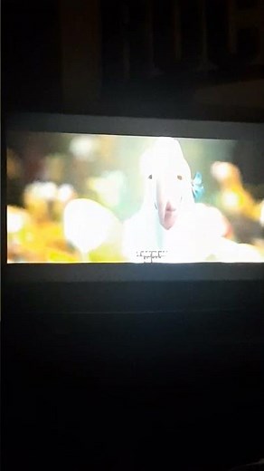 ABC 2011 (41TH ANNIVERSARY)