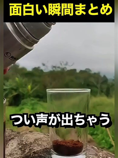 思わず笑ってしまう瞬間まとめ😂🤣 つい声が出ちゃう面白い瞬間まとめ😂