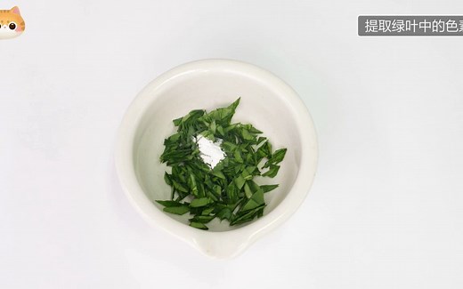 【生物必修1常考重要实验】绿叶中色素的提取和分离 叶绿素的提取丙酮石油醚人教版统编教材高中生物学2019新课改新课标