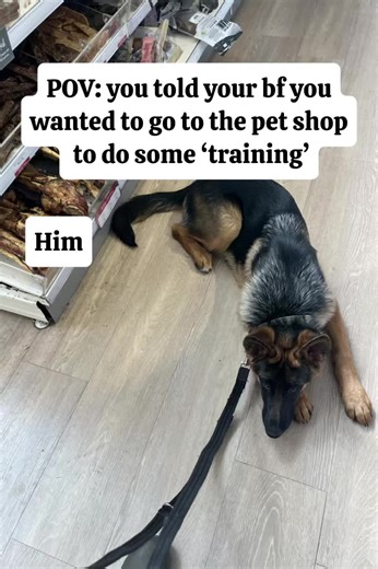 Training Atlas: German Shepherd Adventures in Pet Shops
