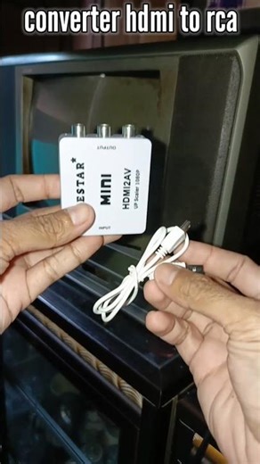 your TV doesn't have an HDMI to RCA converter