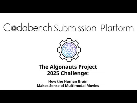 The Algonauts Project 2025 Challenge: Codabench Submission Platform