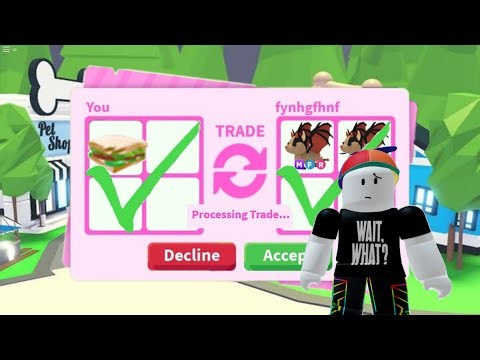 Roblox Scammer Loses It After Fake Pet Duplicator Scam Fails (Adopt Me)