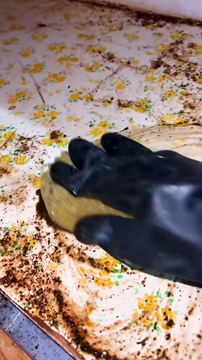 8K views · 136 reactions | Replying to @abuser she is the inspiration...