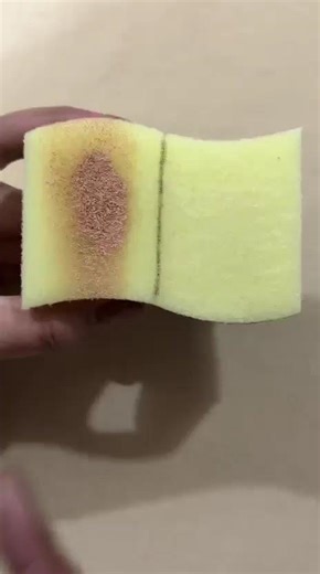 Primer vs No Primer #moraze #beauty #cosmetics #crueltyfree #makeup #informative #primer #viral #yt