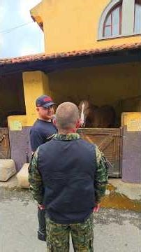 The horses used by the "9th of July" Cavalry Regiment are carefully selected.