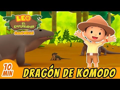 Dragón de Komodo | Bebé Dragón! | Episodio Completo | Leo El Explorador