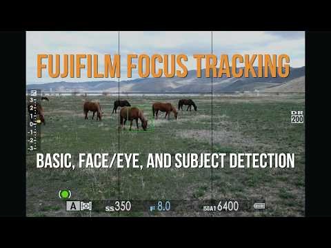 How to Use Subject Tracking on Fujifilm Cameras (Face/Eye, and Subject Detection)