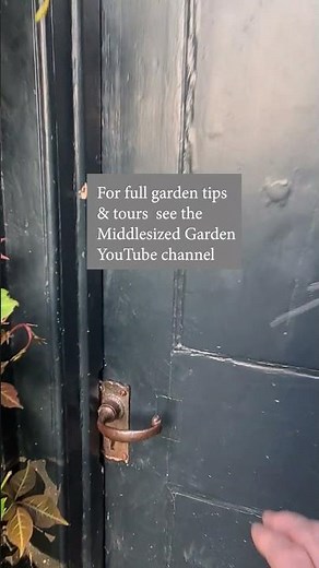 Late summer in the Middlesized Garden - a quick tour