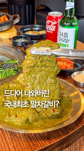 헤이 지혜 | 허지혜 [ 맛집 | 여행 | 꿀팁 | 팝업 ] on Instagram: "국내 최초 말차갈비🫢⁉️ 고기 좋아하시는분들 용산가시면 한번은 꼭 가보셔야 해요 ㅋㅋ 다들 극찬하길래 너무 궁금해서 가봤는데 상상 이상의 맛🥹 말차갈비지만 말차맛 안나니까 걱정마시고 진짜 부드럽고 포근포근한 달콤하고 맛있는 갈비맛인데 이게 대박 신기한게 뒷맛이 깔끔해서 물리지도 않고 끝없이 들어감 ㅠㅠㅠ 마늘소스 + 미나리를 같이 구워주는게 진심 신의 한수인데🫢 미나리 왕창 올려 마늘소스 찍어먹으면 걍 상투스 울립니댜…🫶 소, 돼지, 일반 삼겹살, 껍데기 다있어서 몇번가서 다 먹어봤는데 고기 자체가 걍 맛있는 집이라 취향따라 암거나 시켜도 무조건 성공이지만..🥹 말차갈비는 여기서밖에 못먹는 특별한 맛이니까 무조건 추천…✨ 이근방에 애견동반 음식점 찾기 힘든데 강아지 손님들도 많아서 완전 힐링이니까 멍뭉이있으신분들은 멍뭉이 데리고 가보세요🥹🫶 ▫️#무뚝 숙대본점 서울 용산구 청파로 28