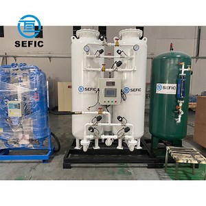 [Hot Item] Psa Oxygen Generator 93% High Purity with for Oxygen Cylinder Refilling