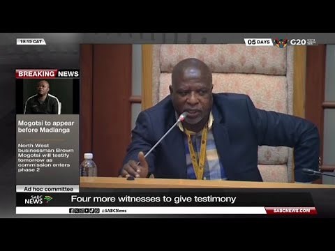 Four witnesses to appear before Parliament's Ad Hoc committee on Mkhwanazi's allegations