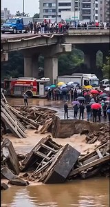 25K views · 77 reactions | A Peaceful Morning Disrupted by Sudden Turmoil | Lora Reviews | Facebook