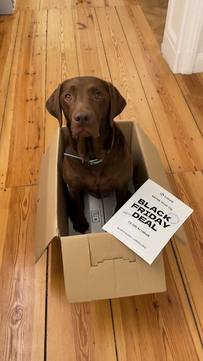 BLACK FRIDAY DEAL: Få 200 kr rabatt 💙 | Lassie