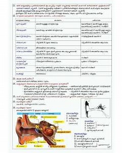 Class 10 Biology chapter 3 സംവേദനങ്ങൾക്ക് പിന്നിൽ simplified notes #safnasworld #class10biology