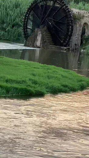 فراس تليتي على TikTok