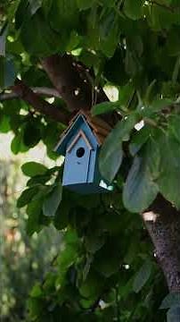 Beyond the Black Box: Explainable AI