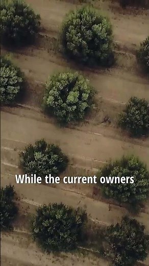 Finca Cerrito: An Argentina Ranch for Sale in Wine Country