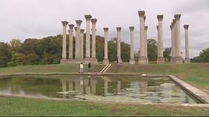 DC's National Arboretum is 'a hidden gem'