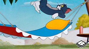 830K views · 10K reactions | Can't a cat nap in peace?   | Boomerang | Facebook