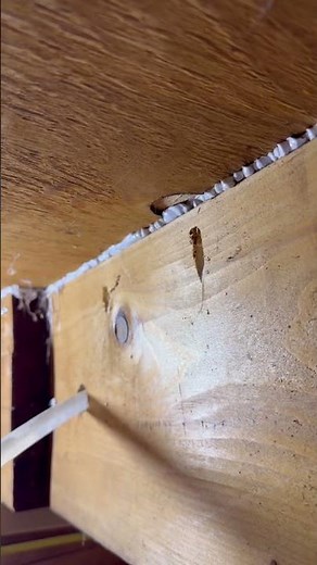 Squeaky Floor Fix! Few Simple Steps! #diy #tools #construction