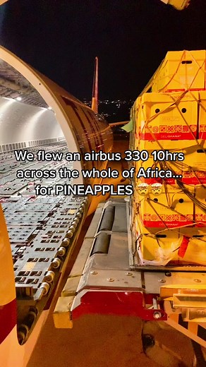 We flew an airbus 330 10 hours across Africa for THIS???? 🤯🤯🤯🤯 #pilot #cargo #pilotsoftiktok #pilotlife #pilotdee #plane #airbus #a330 #fyp