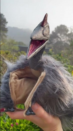 Hatzegopteryx update! #hatzegopteryx #pterosaur #prehistoric #dinosaur #reptiles