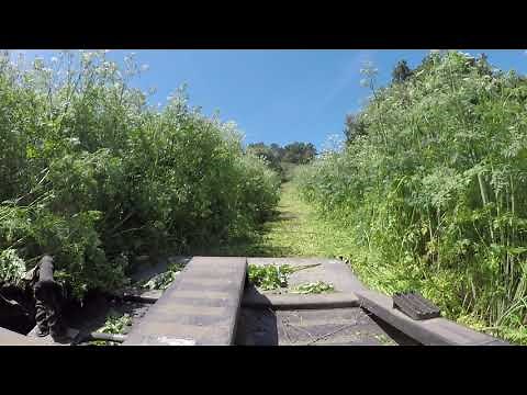 Tall Brush Cutting With Cat 299D
