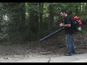 Review: ProRun PBB2884 out perform industry leaders Stihl BR800 or Echo 9010T ?