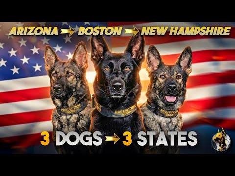 3 Families Didn’t Expect THIS Level of Protection | USA TOUR HANDOVER 🇺🇸