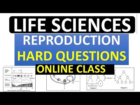 HUMAN REPRODUCTION, HARD QUESTIONS , LIFE SCIENCES GRADE 12 LIFE SCIENCES GRADE 12 [THUNDEREDUC]