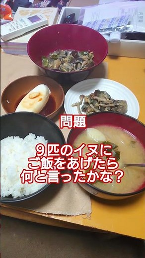 ナスとピーマン炒め・やっこ・じゃがいも 玉ねぎ ワカメの味噌汁⋯ご馳走様でした🙏