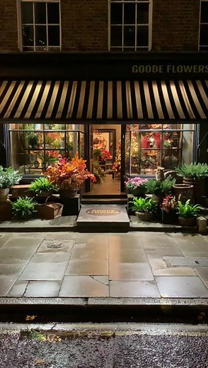 Visit Our Fresh and Fancy Floral Boutique in London!