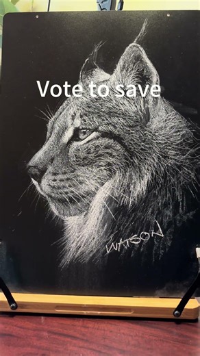 Save it #chalkboardart #blackboardart #drawing #chalkart #手繪 #chalkart