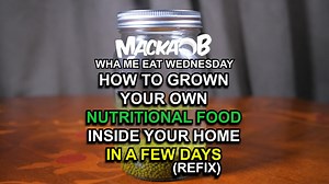 Macka B's Wha Me Eat Wednesdays 'How to grow your own nutritional food inside your home in a few days' (REFIX/THROWBACK) Please leave a comment below and share Lyrics: A Wha Me Eat Wednesday yes another outing Nutritional lyrics I'm spouting Always positive now doubting Today it's all about sprouting Sprouting what does that mean Germinating seeds legumes or bean To produce a shoot as will be seen Full of vitamins minerals and protein Very simple easy technique Not expensive it is very cheap You
