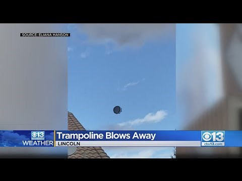 Strong Winds Uproot Trees, Take Down Fences Throughout Neighborhood