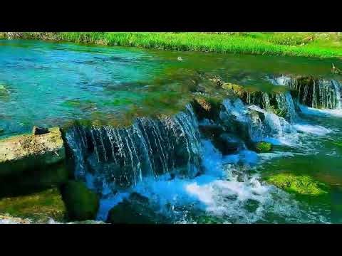 Beautiful Mini Waterfall in Clear Stream | Calming Nature Scene