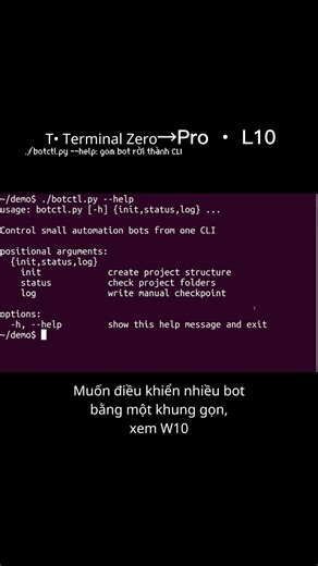 T• ./botctl.py --help: gom bot rời thành CLI | L10 (Terminal Zero→Pro) #ubuntu #terminal #python