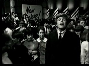 Hermans Hermits - Just A Little Bit Better.