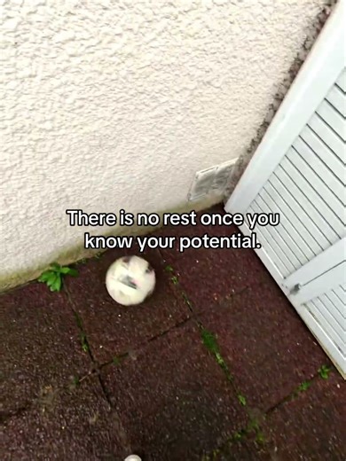 Real baller. #Shorts