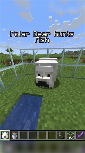 Why Professional Minecraft Players Avoid These 7 Secret Myths 🤫🚫