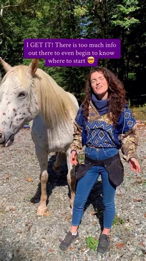 Struggling to find what really works with your horse? Then this FREE guide on how to start positive reinforcement training SUCCESSFULLY might be exactly what you’ve been looking for!!🐴💫This gentle, science-backed approach uses positive reinforcement to grow trust, clear communication, and genuine cooperation. It’s not just about “fixing problems” - it’s about making training enjoyable for both of you. Getting started can feel overwhelming 🙈, but I’ve got you covered. My free guide videos will