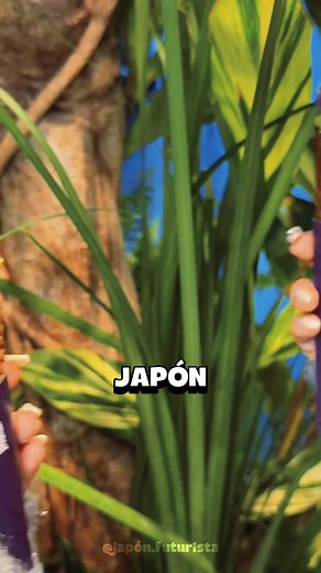 #inventosjaponeses #viral #curiosidadesjapon #parati | japanese fireworks