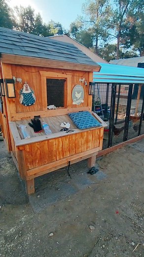 We built a larger run for our Chickens out of a dog run. tell me what you think? #chickenrun #chickencoop #diychickenrun #homesteading #latinahomesteader #chickenmon #lowbudgetfarm #latinafarmers #chickens