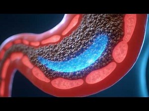 How Chia Seeds Heal Your Stomach Naturally | Constipation, Bloating & Gut Health Explained