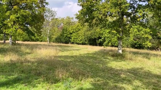 Built for professionals, the AR G2 Series delivers a clean cut, tough build, and effortless performance.  “The AR-150 has been a game-changer – tough, reliable, and leaves a perfect finish every time.”  Perfect for estates, parks, and sports fields. Get in touch to learn more!  #WessexInternational #RotaryMower #Rotary #Groundcare #ProMowing | Wessex International | Facebook