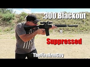 Bushmaster 300 Blackout Suppressed Shooting.- TheFireArmGuy