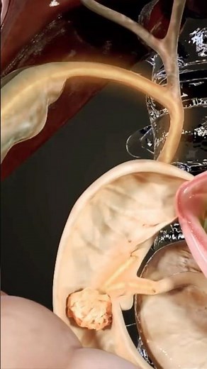 Digestive system enzymes 3d medical animation #science