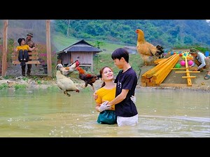 3 years of building a farm, harvesting agricultural products, building wooden structures